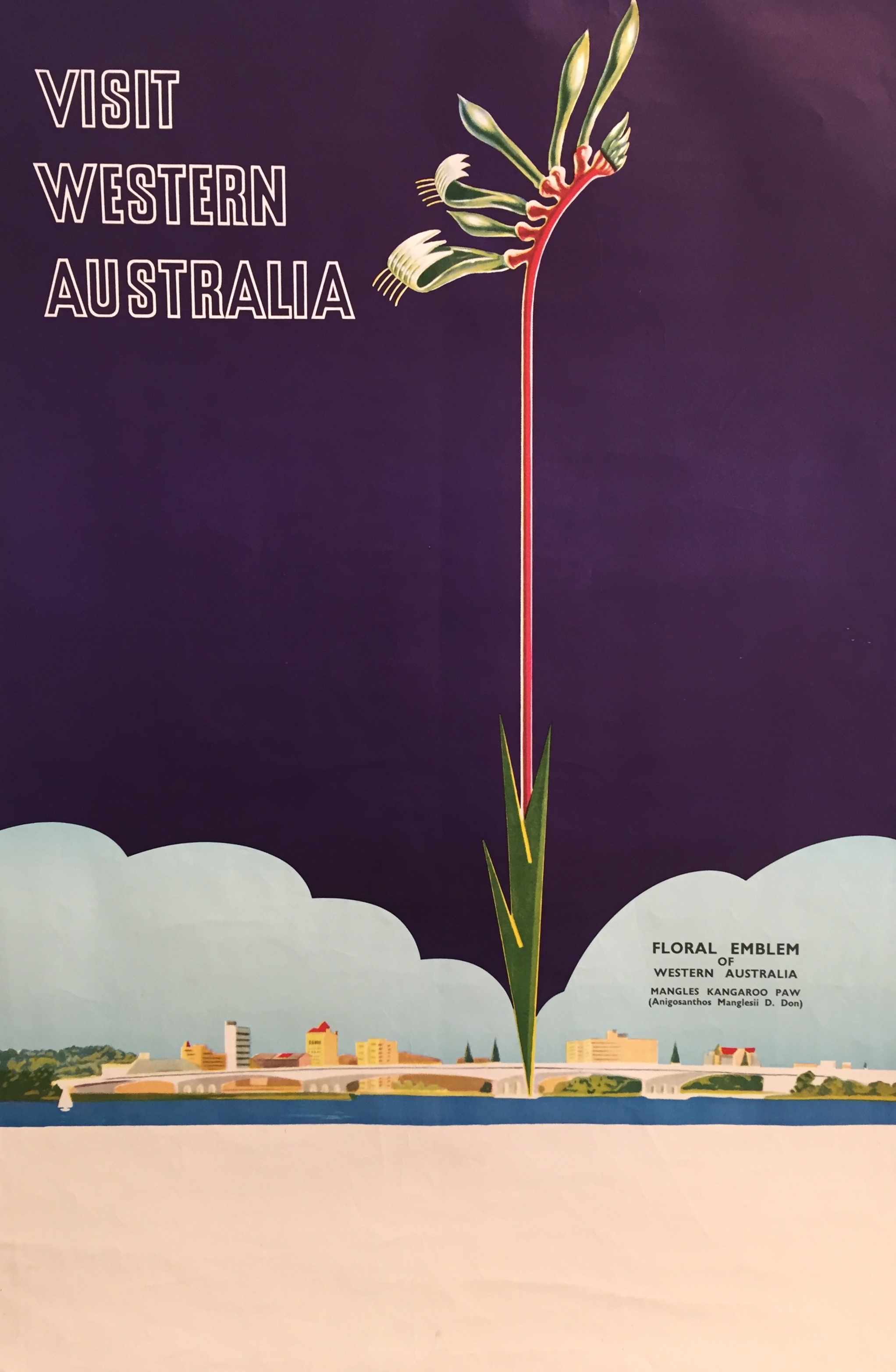 Visit Western Australia Floral Emblem Original Vintage Poster