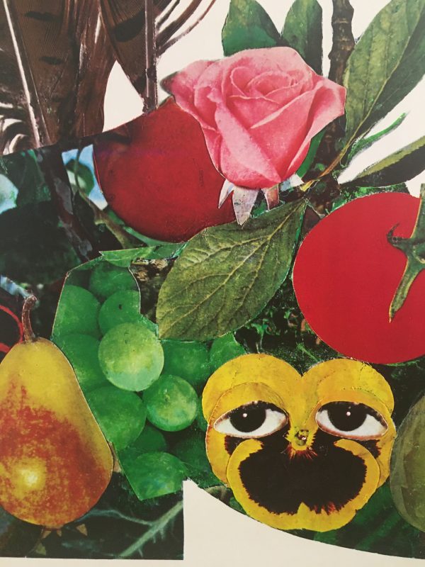Bally Fruit Bezombes Original Vintage Poster