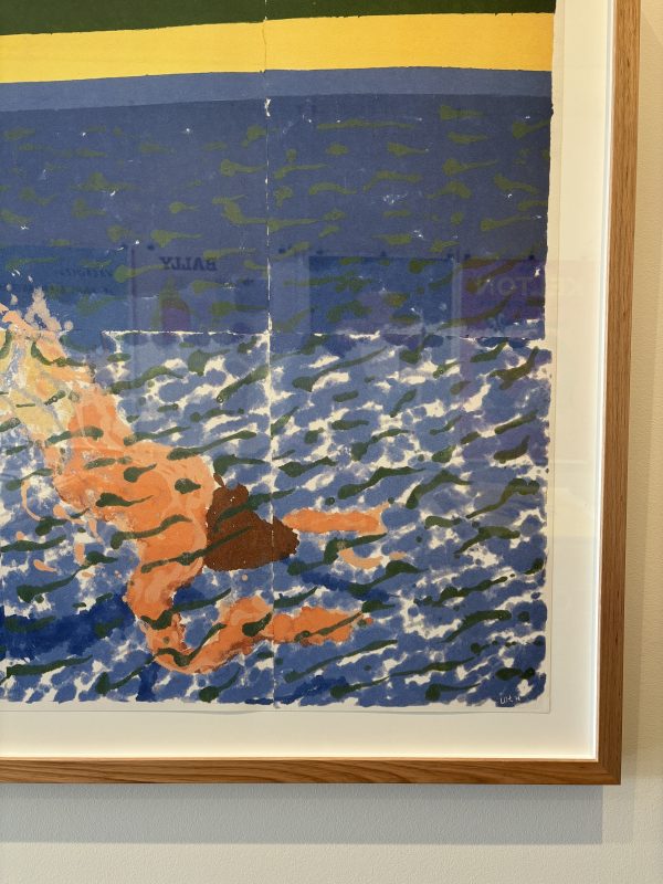 David Hockney Edition 'A Diver' Framed